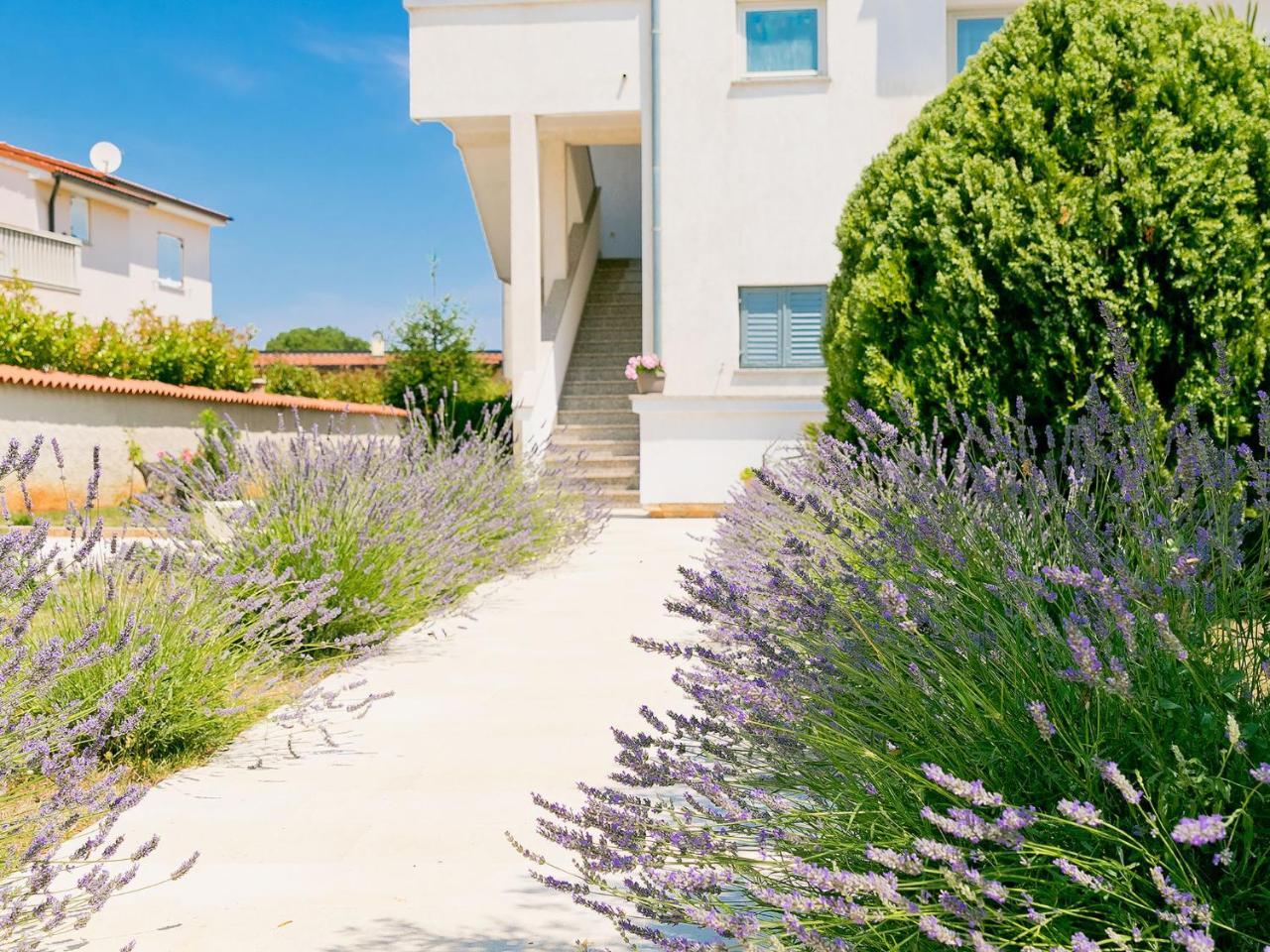Apartment Noa Pula Exterior photo